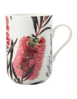 Maxwell & Williams Royal Botanic Garden Bottlebrush 300ml Mug Gift Boxed Mixed Colour