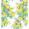 Maxwell & Williams Royal Botanic Gardens Victoria Garden Friends 50x70cm Tea Towel Robin White Print
