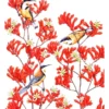 Maxwell & Williams Royal Botanic Gardens Victoria Garden Friends 50x70cm Tea Towel Spinebill Print