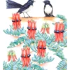 Maxwell & Williams Royal Botanic Gardens Victoria Garden Friends 50x70cm Tea Towel Willy Wagtail Print