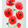 Maxwell & Williams Katherine Castle Floriade Tea Towel 50x70cm Ranunculus